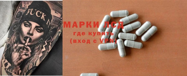 трава Белокуриха