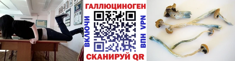 OMG tor  Бирюч  Галлюциногенные грибы прущие грибы  купить наркоту 
